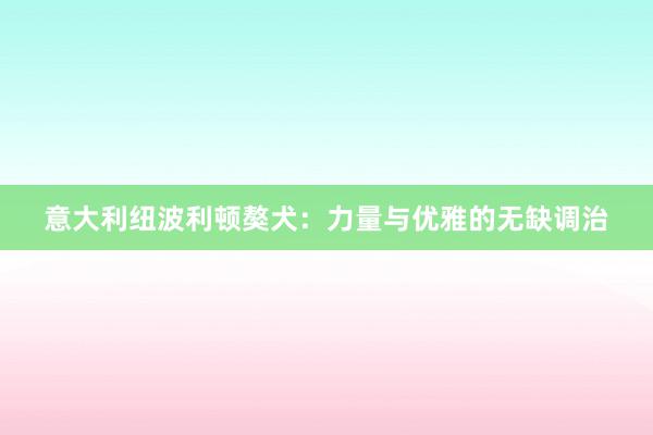 意大利纽波利顿獒犬：力量与优雅的无缺调治